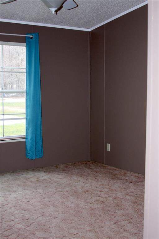 160 West County Line Road Jamestown, PA 16134 - Photo 16 of 18 Rear Bedroom (BR #2)
