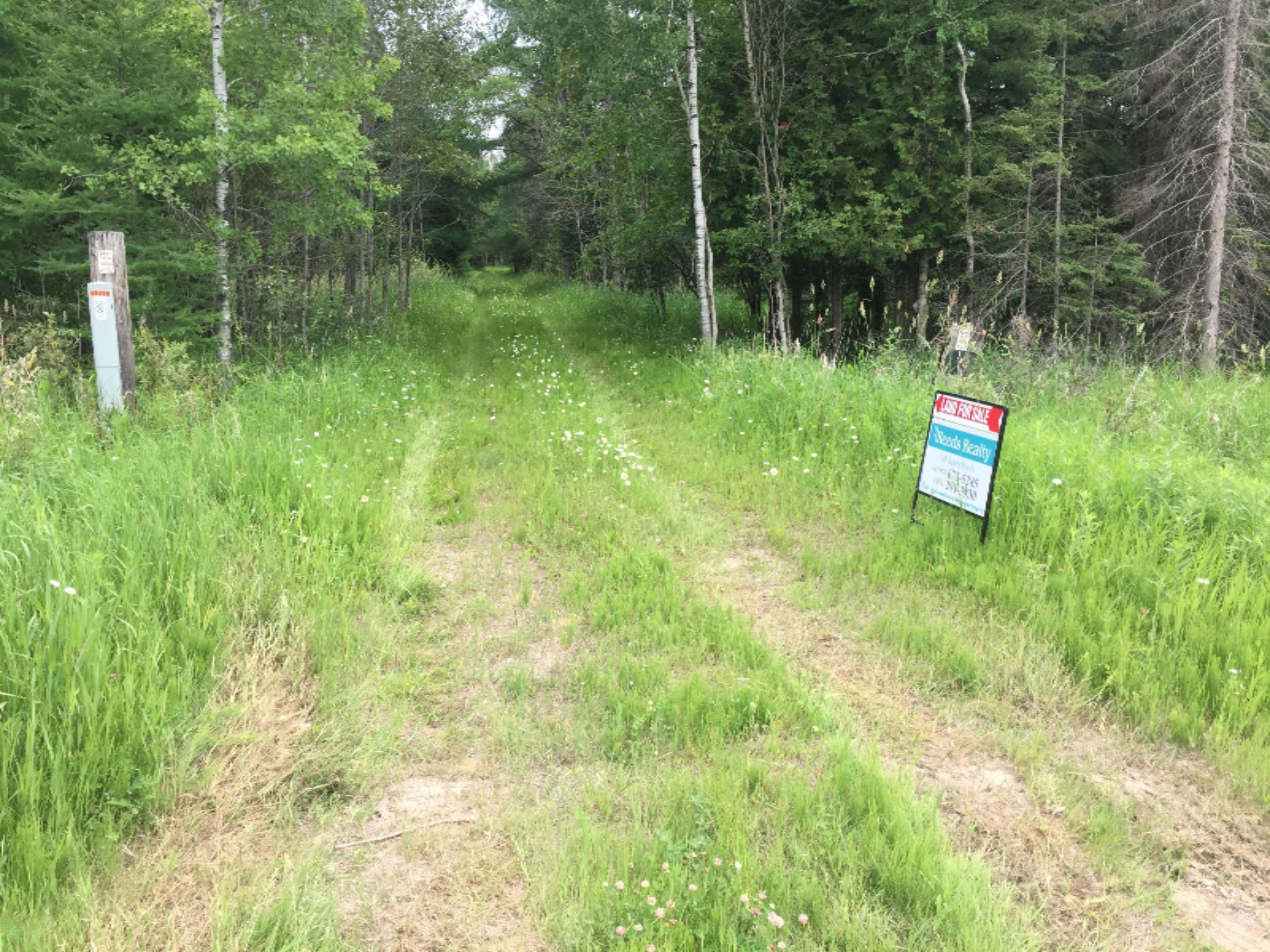 2788 Trombley 35th Road Rock, MI 49880 - Photo 1 of 12 IMG_2030