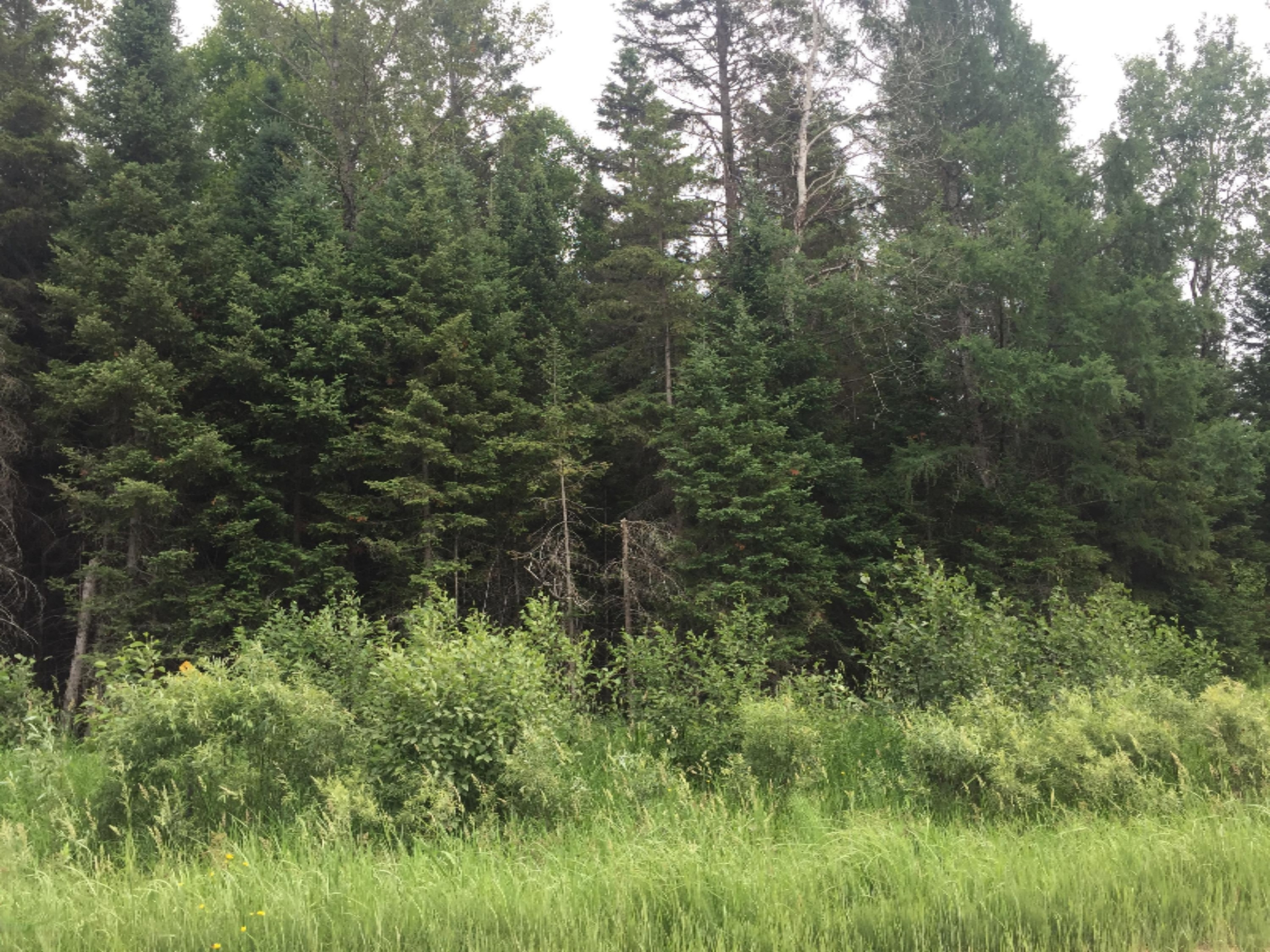 2788 Trombley 35th Road Rock, MI 49880 - Photo 2 of 12 IMG_2035