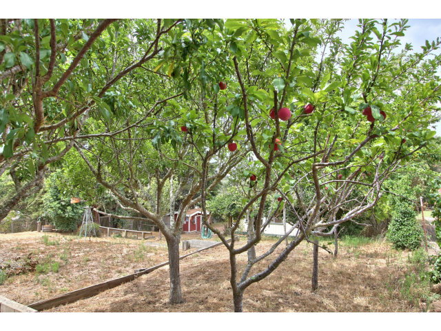 8986 Oak Road Salinas, CA 93907 - Photo 10 of 22 Gallery Image 10