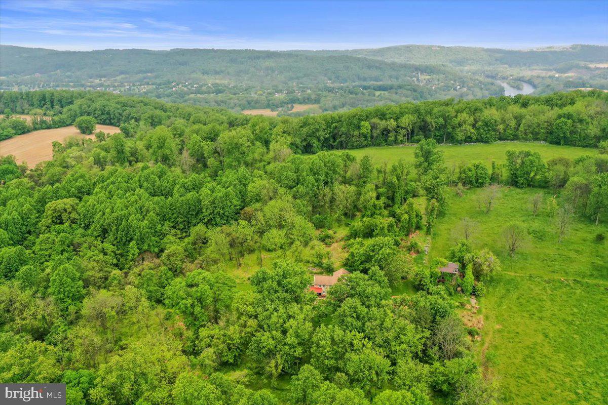 89 Pinchers Point Road Phillipsburg, NJ 08865 - Photo 15 of 44