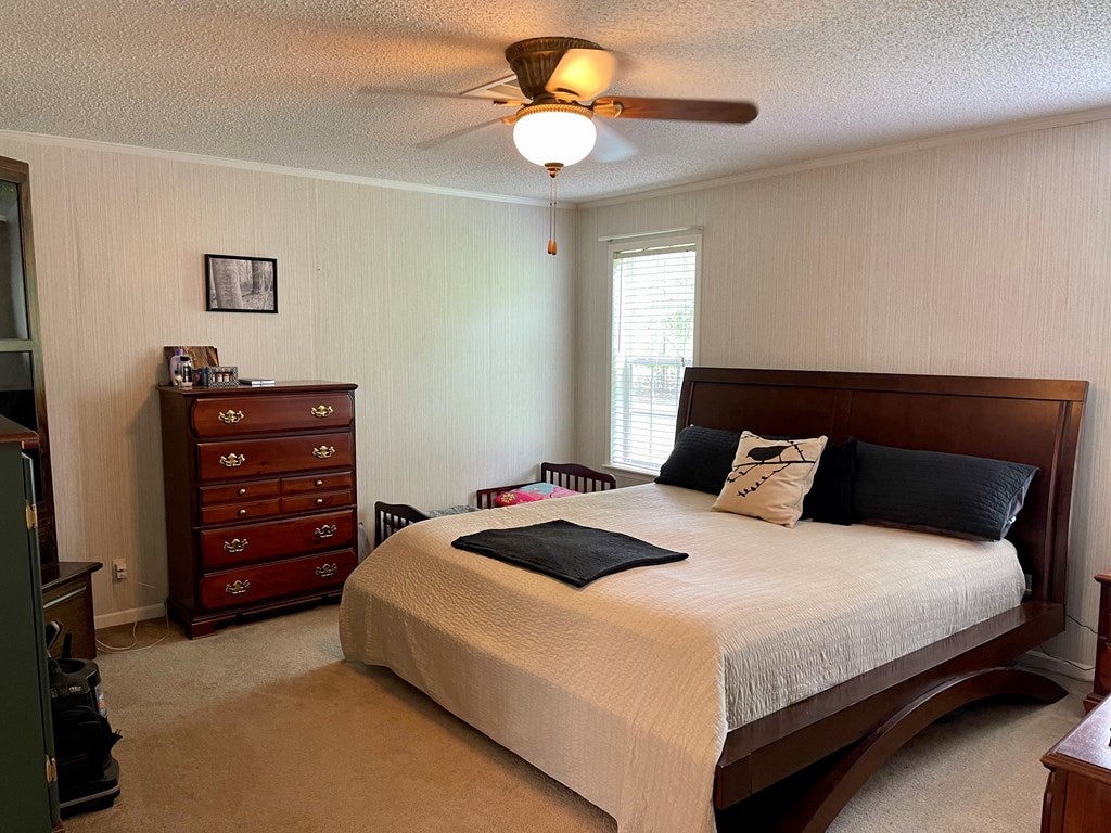 1178 Luke Road Ray City, GA 31645 - Photo 29 of 33 Gallery Image 29