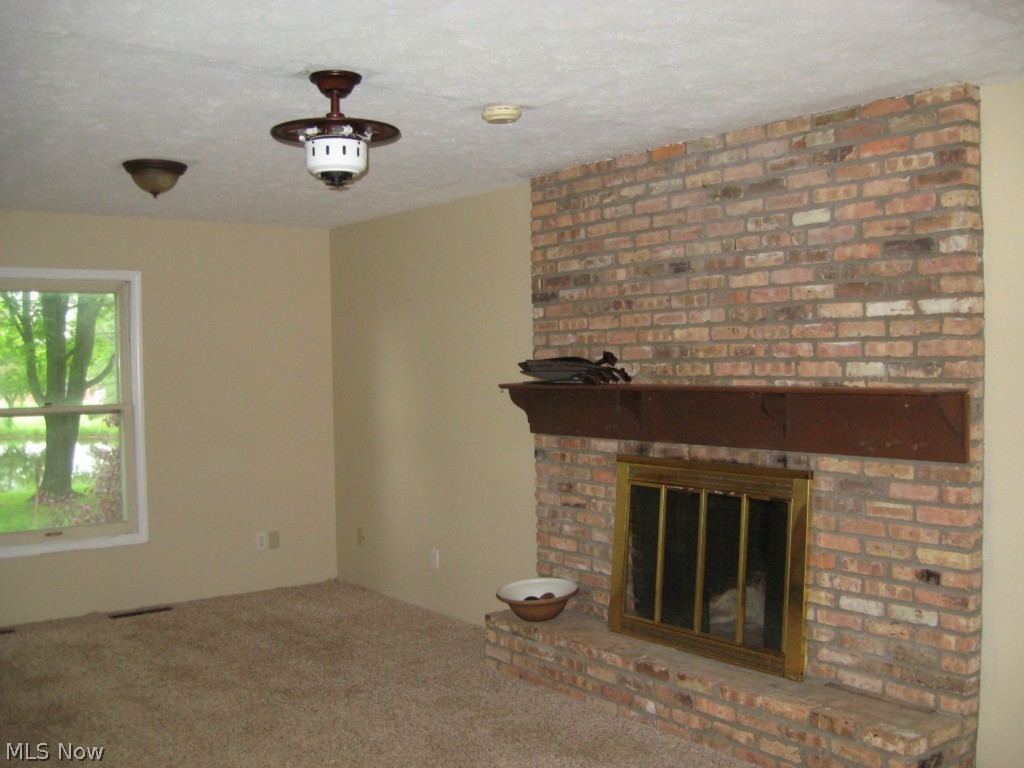 8066 Spieth Road Litchfield, OH 44253 - Photo 3 of 12 Gallery Image 3