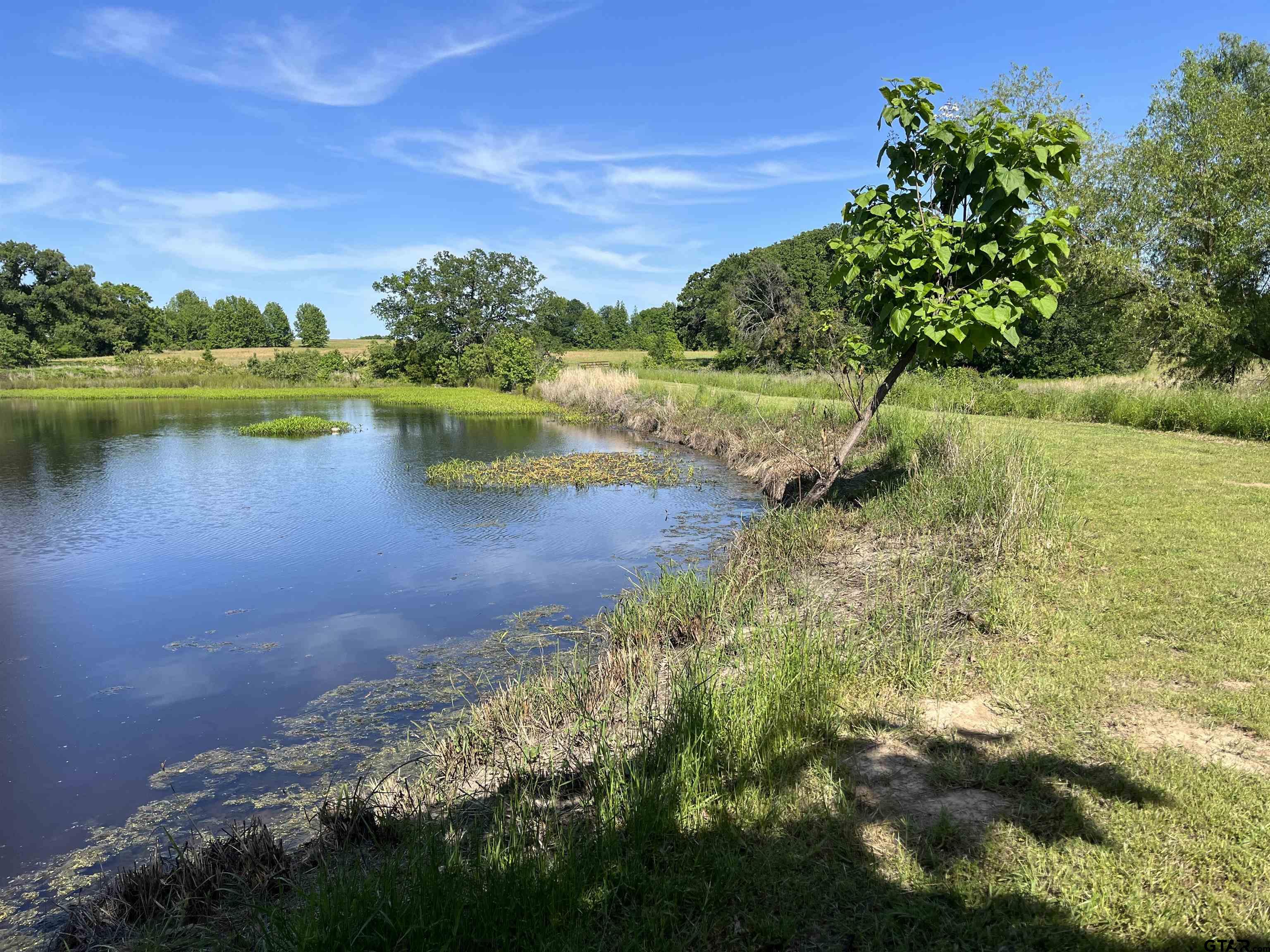 Tbd West Ferguson Road Mount Pleasant, TX 75455 - Photo 11 of 17