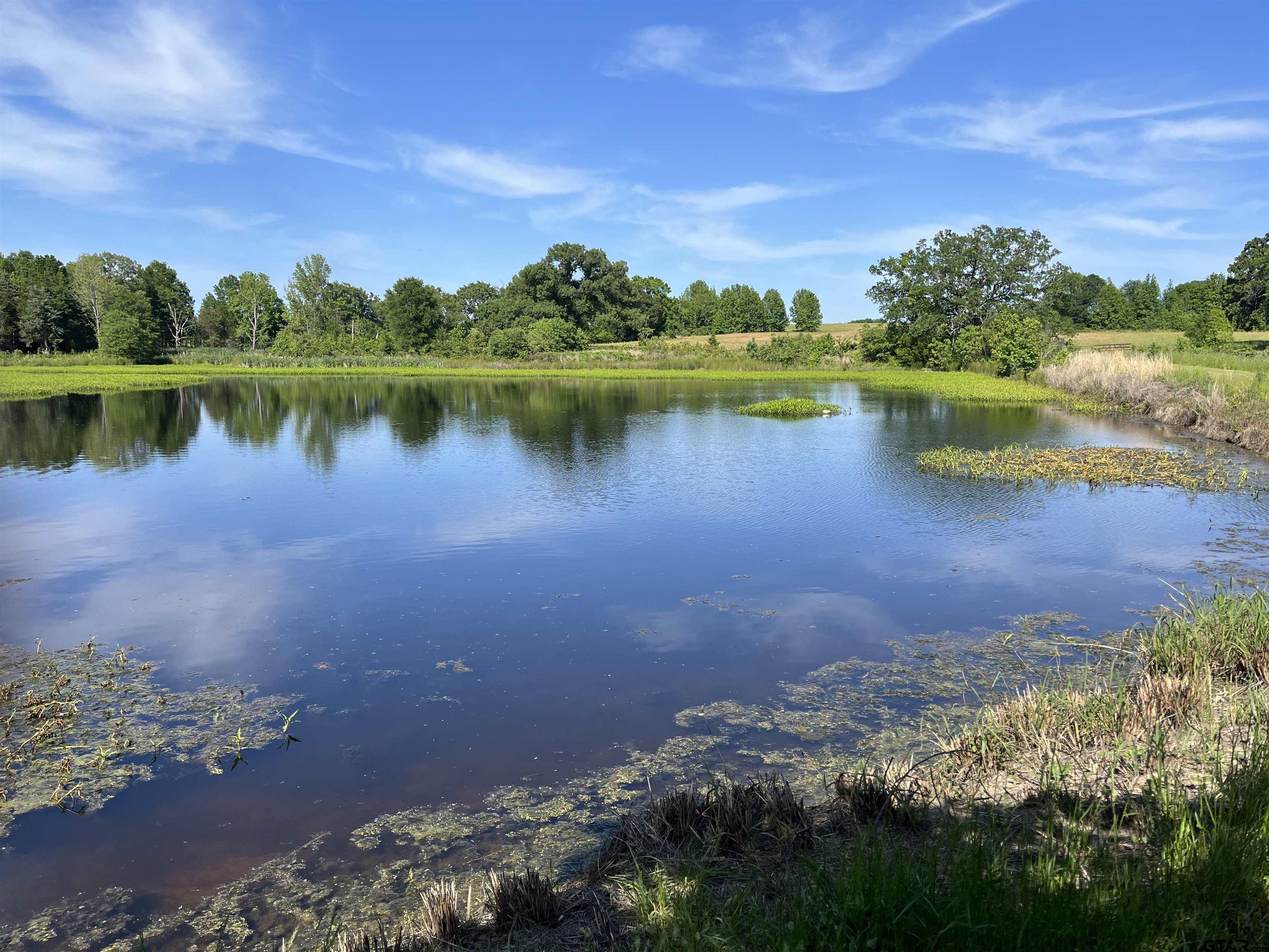 Tbd West Ferguson Road Mount Pleasant, TX 75455 - Photo 12 of 17