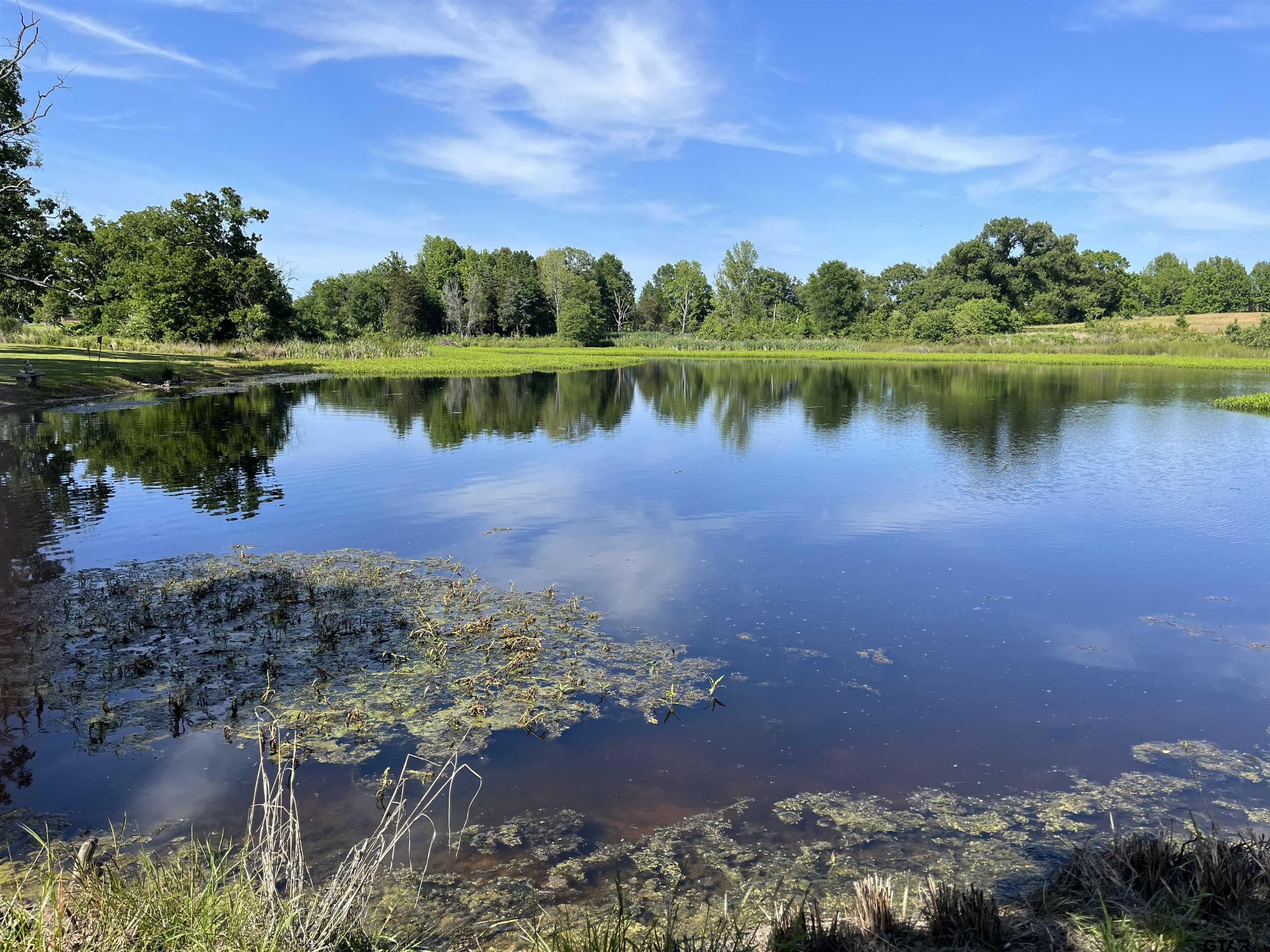 Tbd West Ferguson Road Mount Pleasant, TX 75455 - Photo 13 of 17