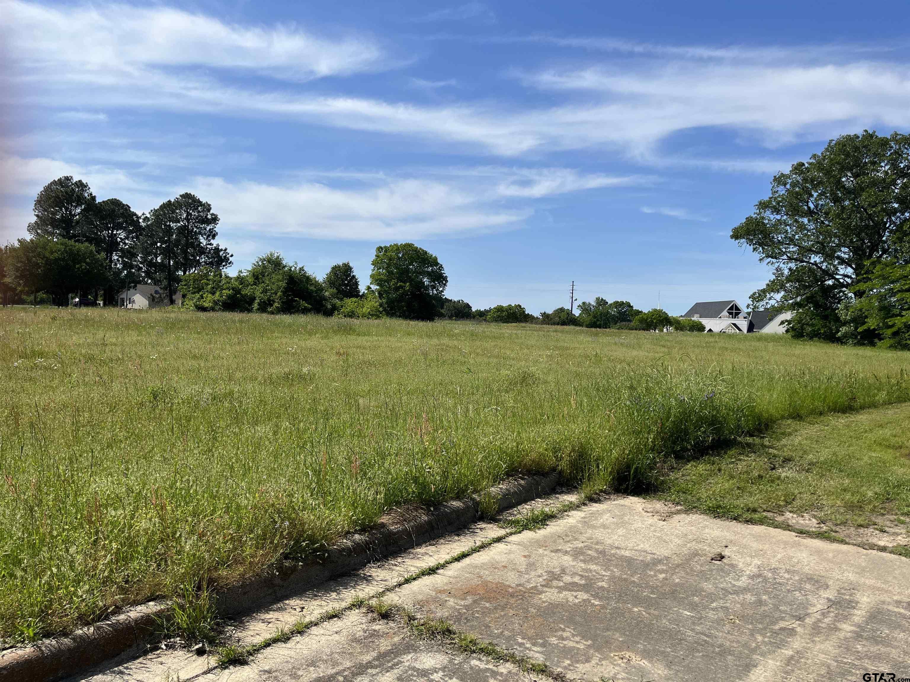 Tbd West Ferguson Road Mount Pleasant, TX 75455 - Photo 3 of 17