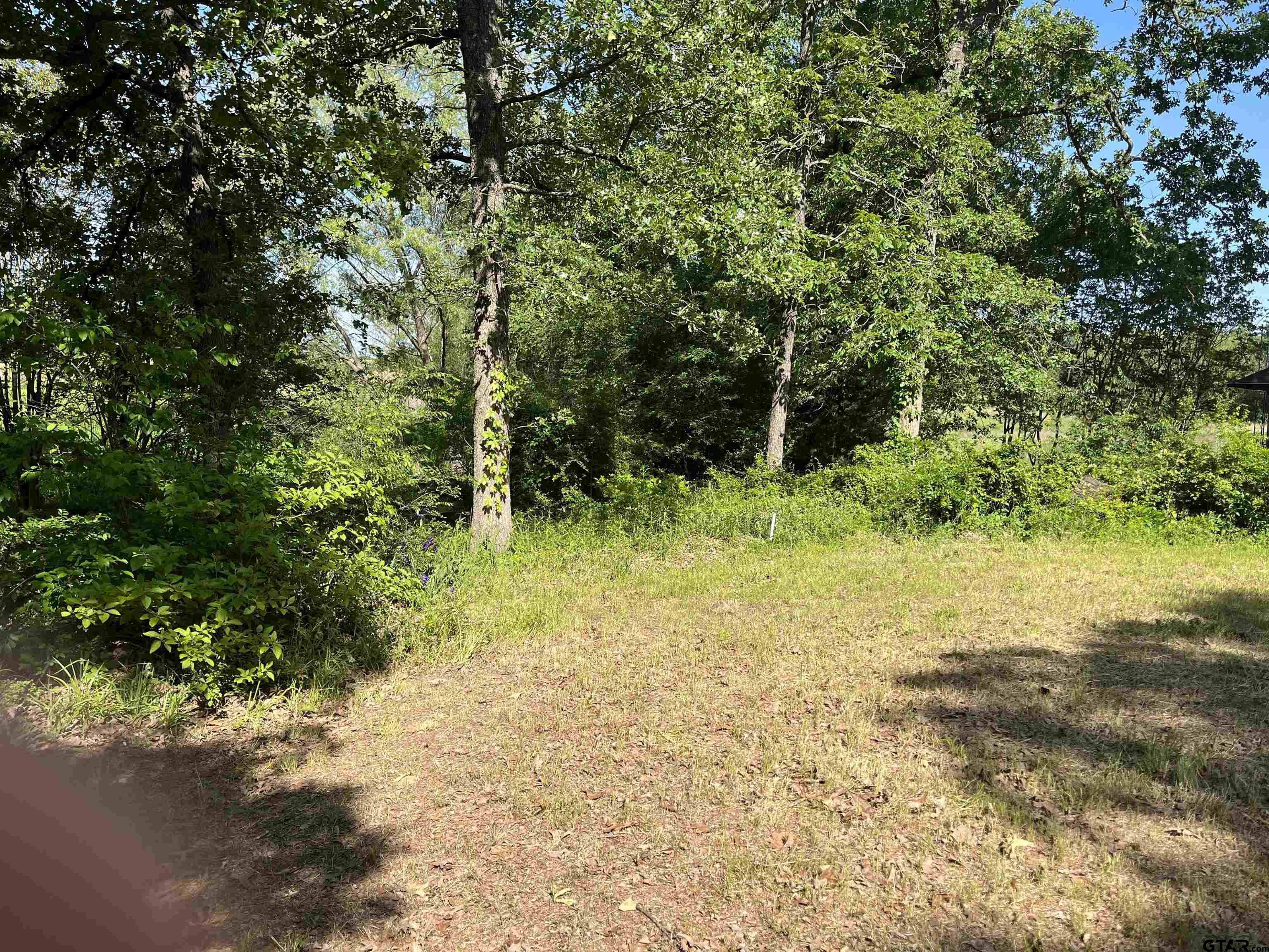 Tbd West Ferguson Road Mount Pleasant, TX 75455 - Photo 5 of 17