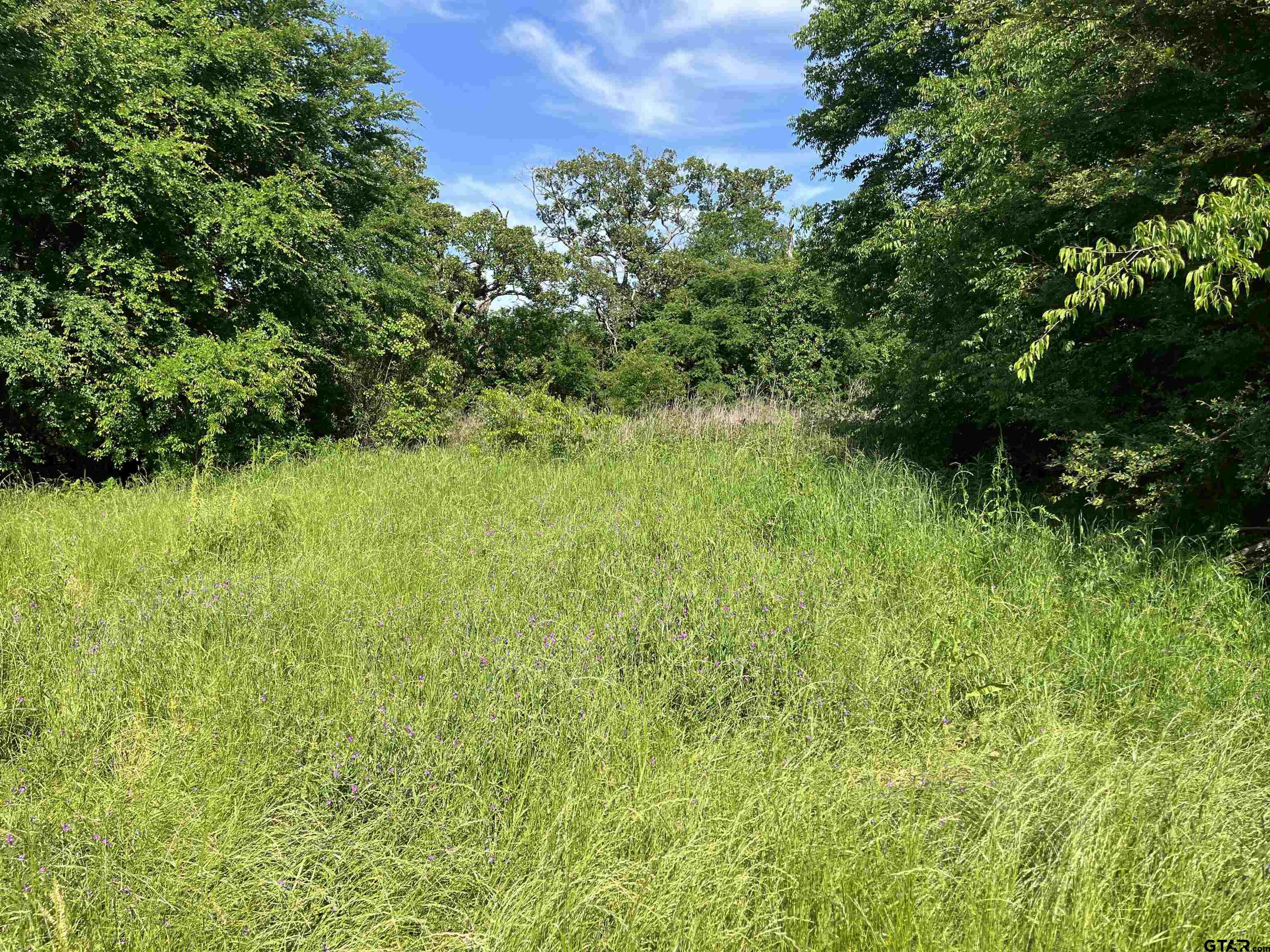 Tbd West Ferguson Road Mount Pleasant, TX 75455 - Photo 6 of 17