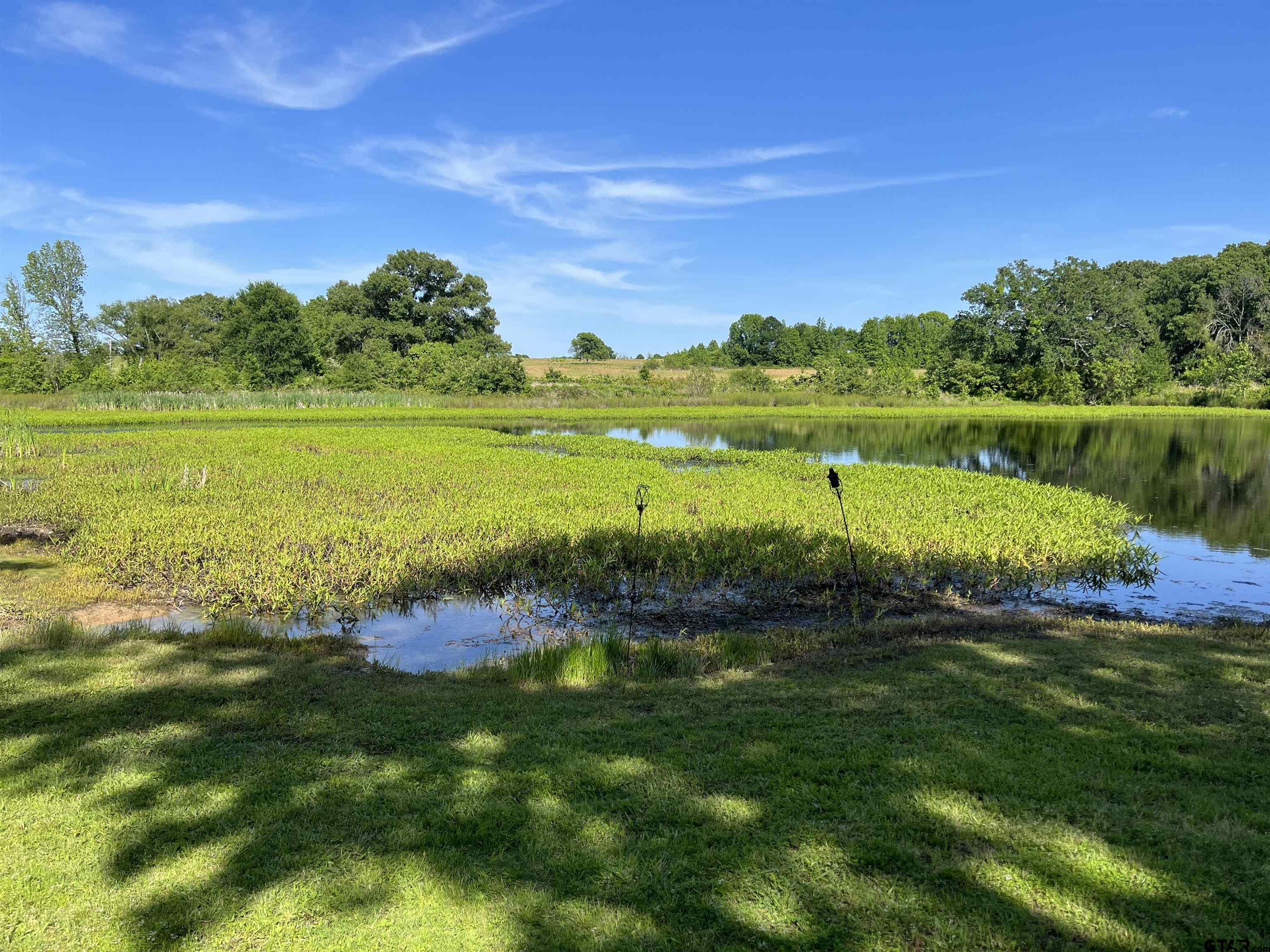 Tbd West Ferguson Road Mount Pleasant, TX 75455 - Photo 10 of 17