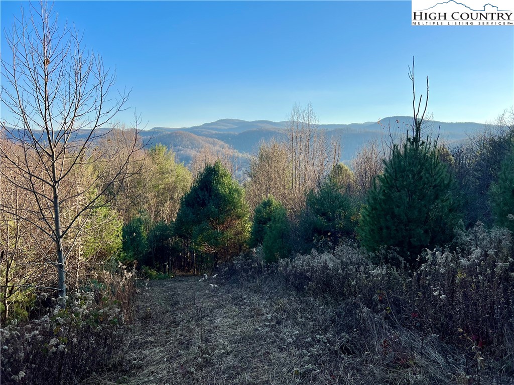 George Cook Road Sugar Grove, NC 28679 - Photo 1 of 12 Gallery Image 1