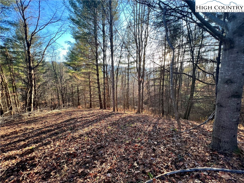 George Cook Road Sugar Grove, NC 28679 - Photo 11 of 12 Gallery Image 11