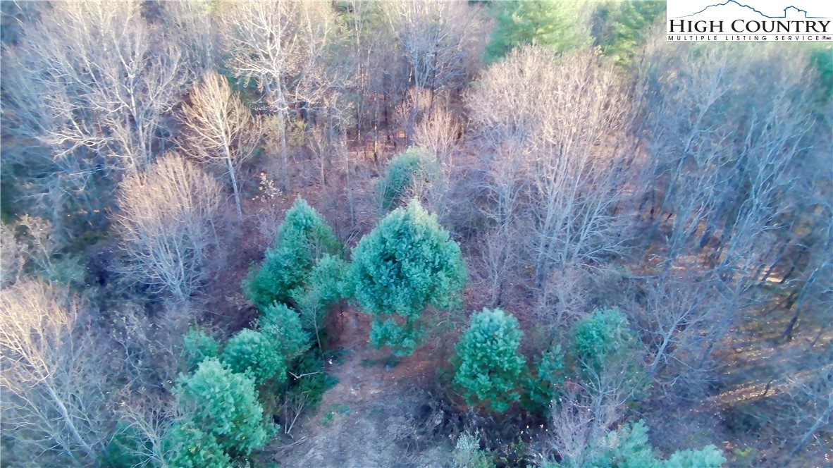 George Cook Road Sugar Grove, NC 28679 - Photo 12 of 12 Gallery Image 12