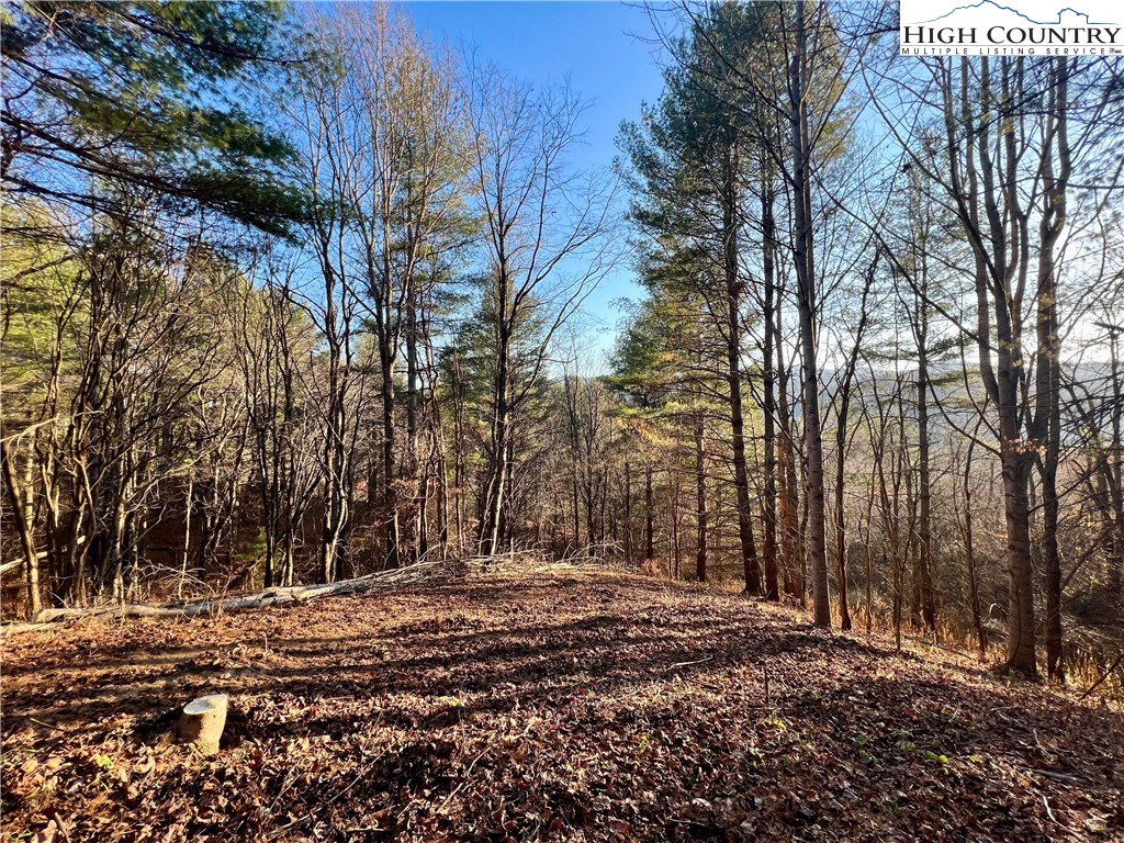 George Cook Road Sugar Grove, NC 28679 - Photo 2 of 12 Gallery Image 2