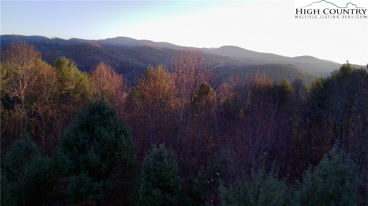 George Cook Road Sugar Grove, NC 28679 - Photo 3 of 12 Gallery Image 3