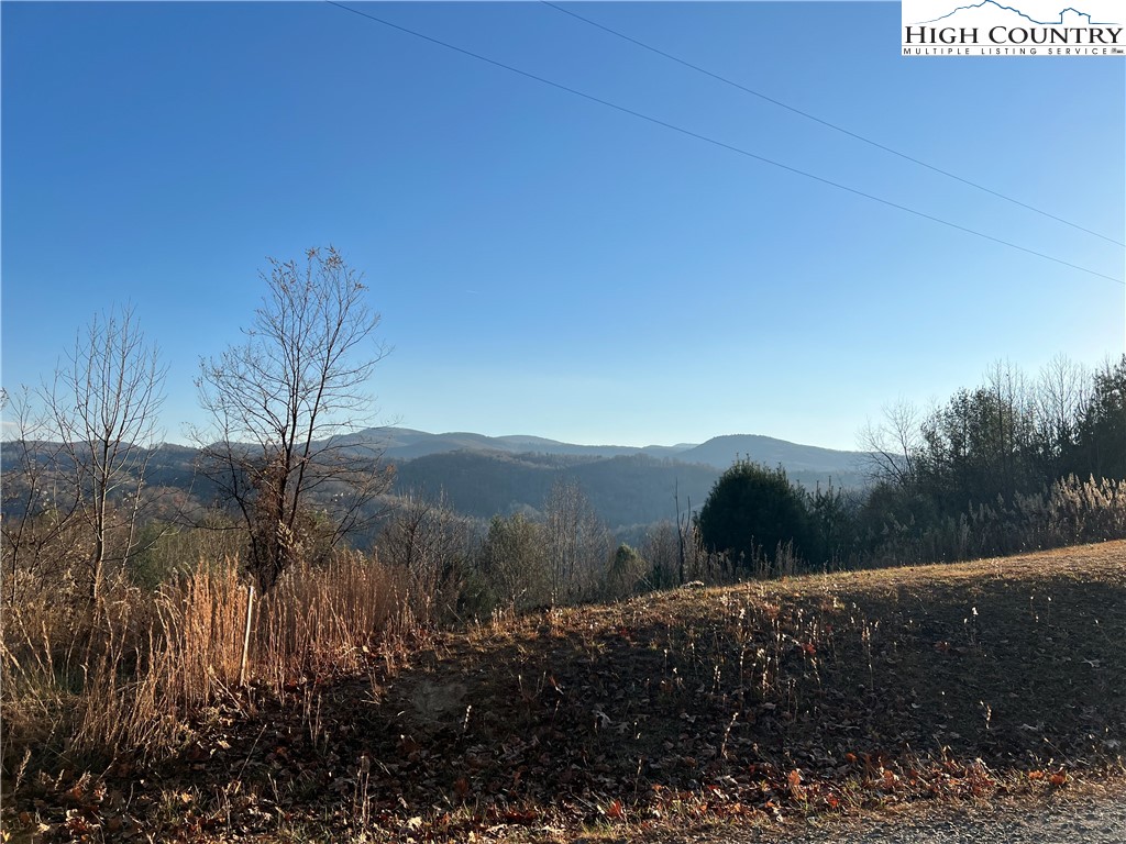 George Cook Road Sugar Grove, NC 28679 - Photo 4 of 12 Gallery Image 4