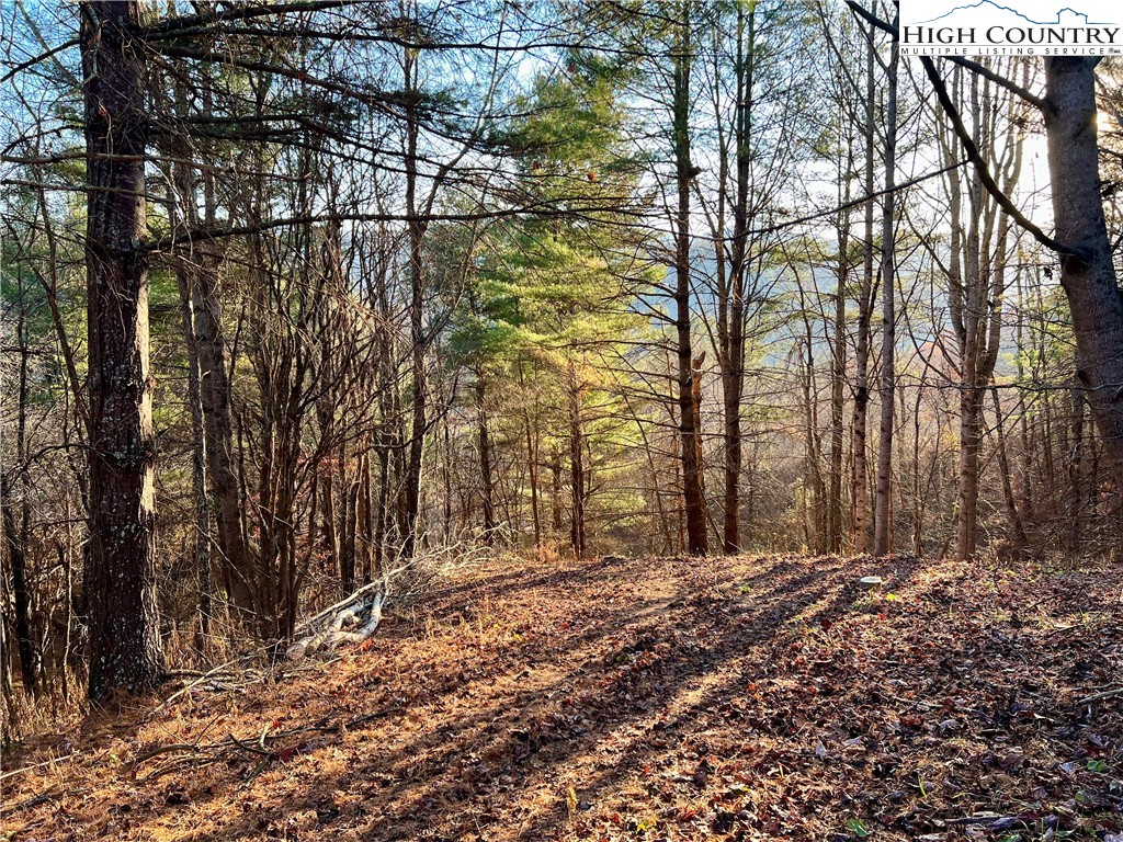 George Cook Road Sugar Grove, NC 28679 - Photo 7 of 12 Gallery Image 7