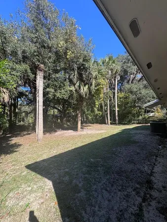 a view of a yard with plants