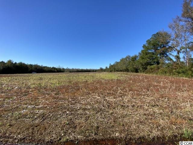 Tbd Cherry Hill Road Loris, SC 29569 - Photo 1 of 3 Gallery Image 1
