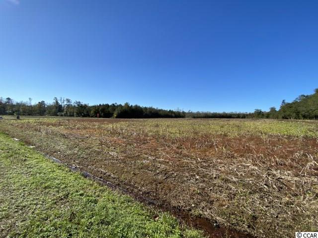 Tbd Cherry Hill Road Loris, SC 29569 - Photo 3 of 3 Gallery Image 3