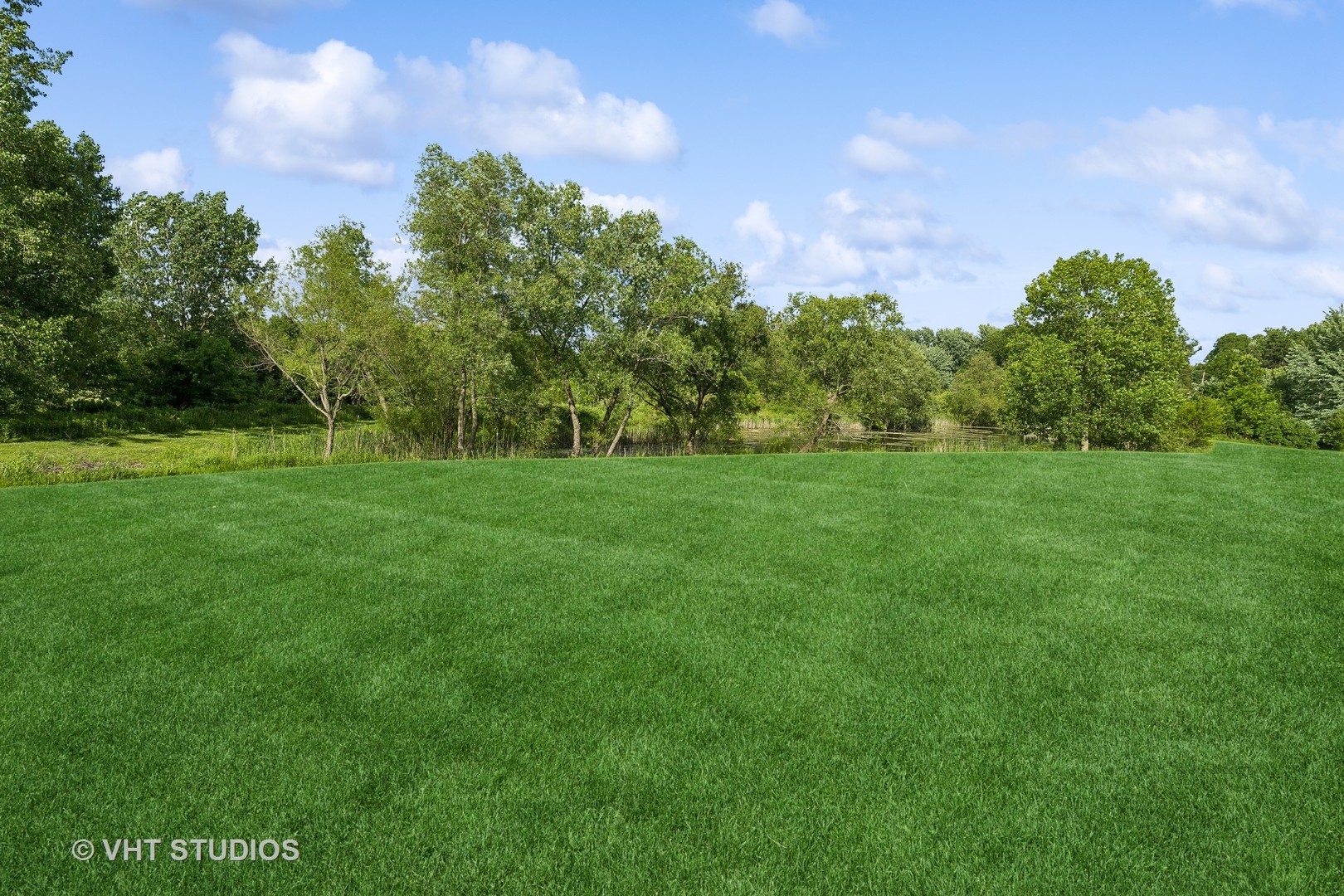 41W640 Burlington Road St. Charles, IL 60175 - Photo 29 of 39 a view of a grassy field with trees in the background