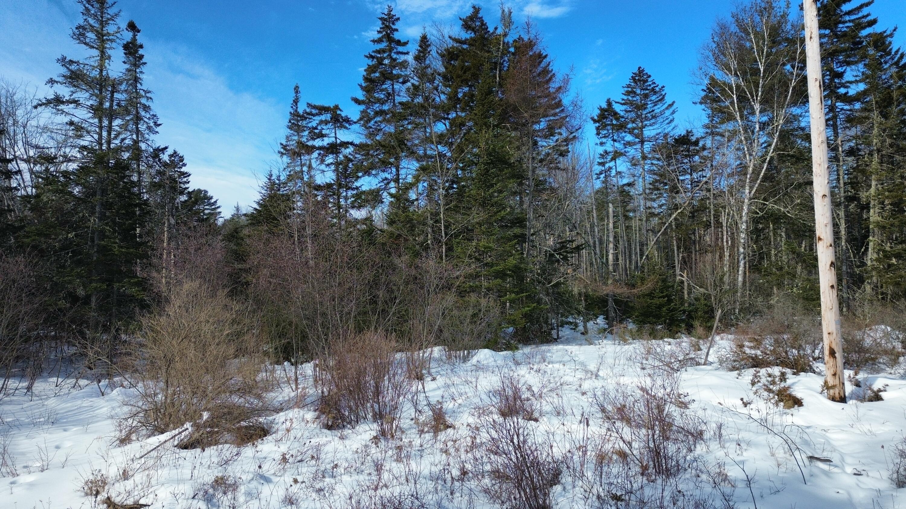 U7-3e Washington Road Waldoboro, ME 04572 - Photo 14 of 15 dji_fly_20260218_095302_16_1771426564404