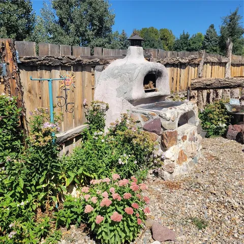 a view of a garden with plants