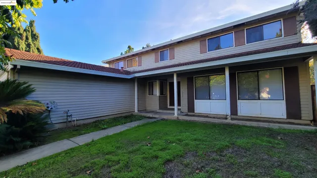a view of a backyard with plants and large trees