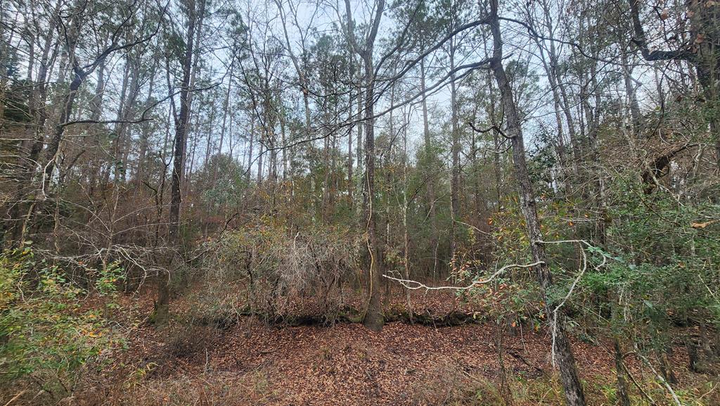 15.05 Pera Road Samson, AL 36477 - Photo 22 of 29
