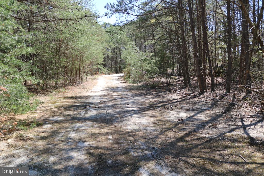 351 Shaws Mill Road Cedarville, NJ 08311 - Photo 6 of 84