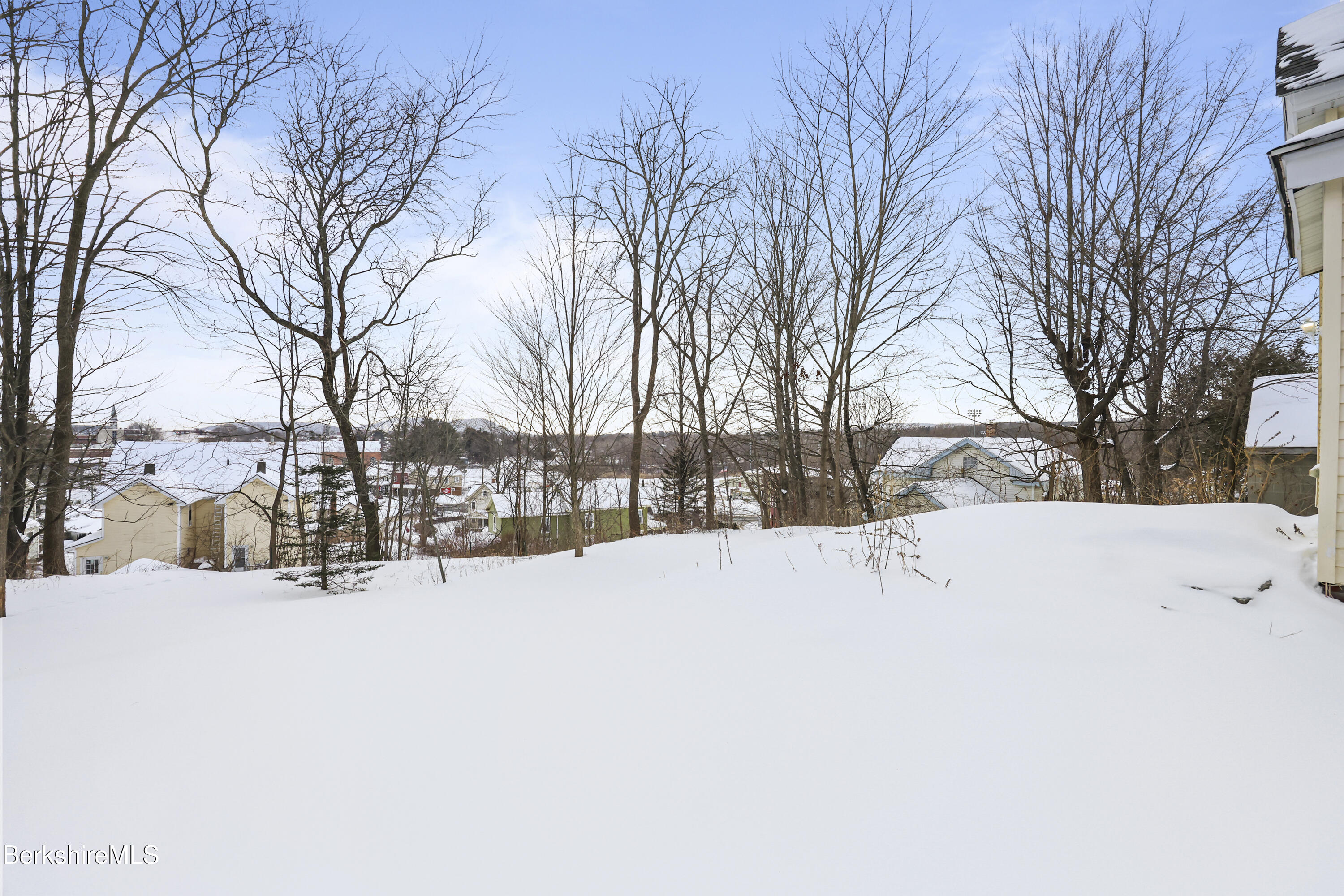 71 Weller Avenue Pittsfield, MA 01201 - Photo 4 of 42 Back Yard