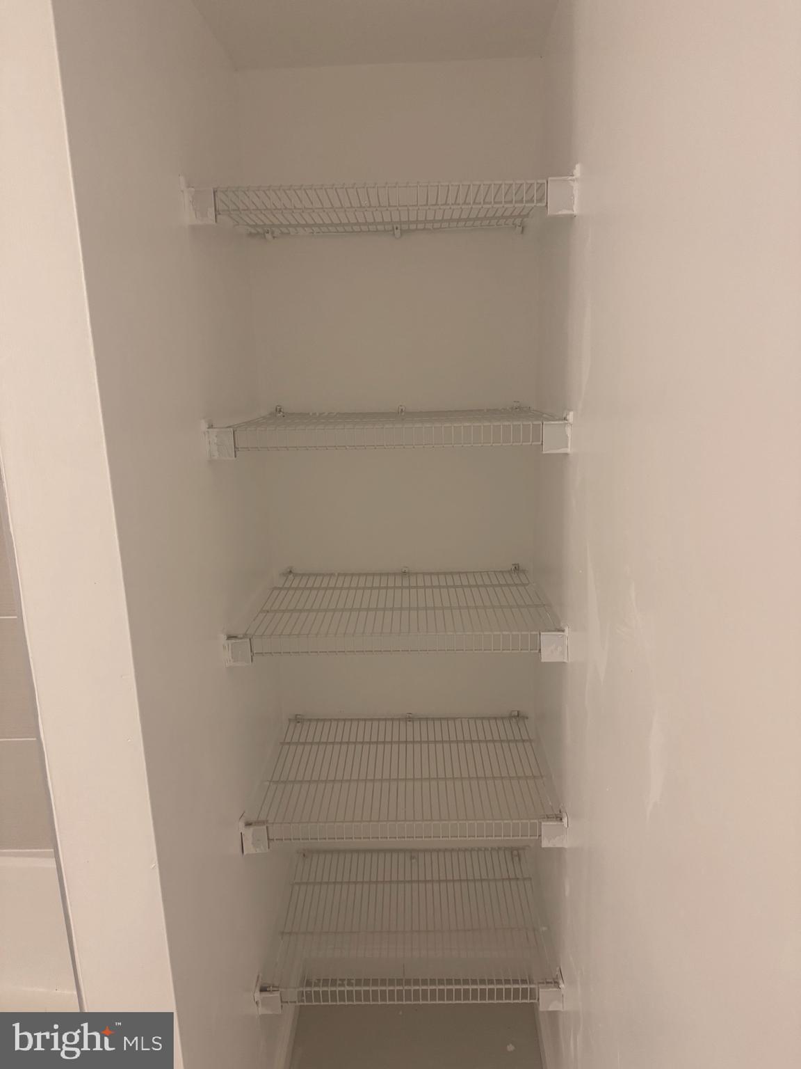 5890 Tulloch Spring Court Haymarket, VA 20169 - Photo 10 of 15 a view of an empty walk in closet