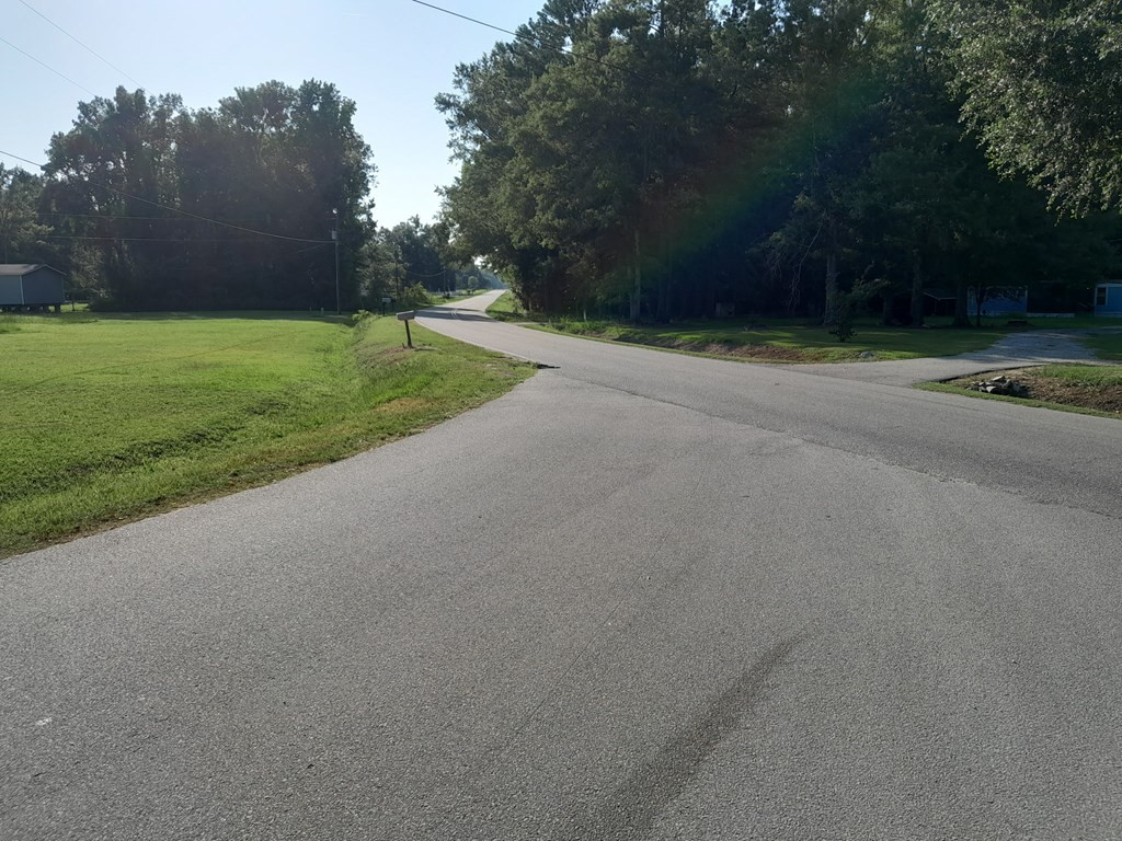 0 Near Thomas Walters Road, Unit TRACT B Pineville, SC 29468 - Photo 2 of 4 Photo 2