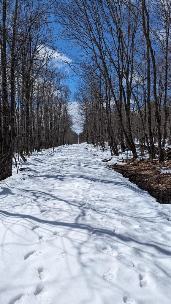 Lot 9 Pinkham Hill Road Phillips, ME 04966 - Photo 1 of 23 010