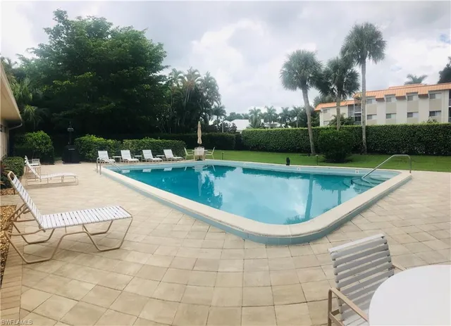 a view of a park with palm trees