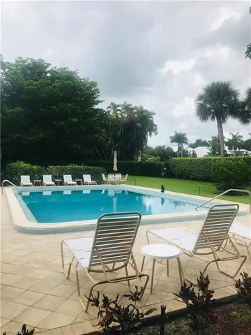 a view of a big yard with plants and a large tree