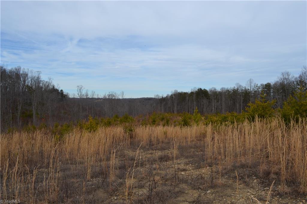 3175 Anglin Mill Road Stoneville, NC 27048 - Photo 8 of 9 Gallery Image 8