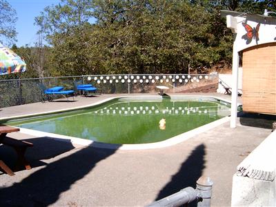 7425 Sharp Road Calistoga, CA 94515 - Photo 8 of 8 a view of a swimming pool with a garden