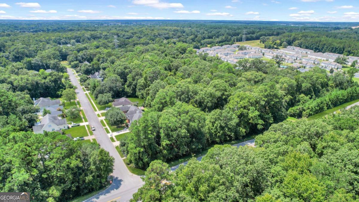 9.73-ac Little Neck Road Savannah, GA 31419 - Photo 2 of 9 a view of a city with lush green forest