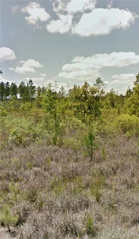 $7,000 | 112 Eagles Crest, Waynesville, GA 31566