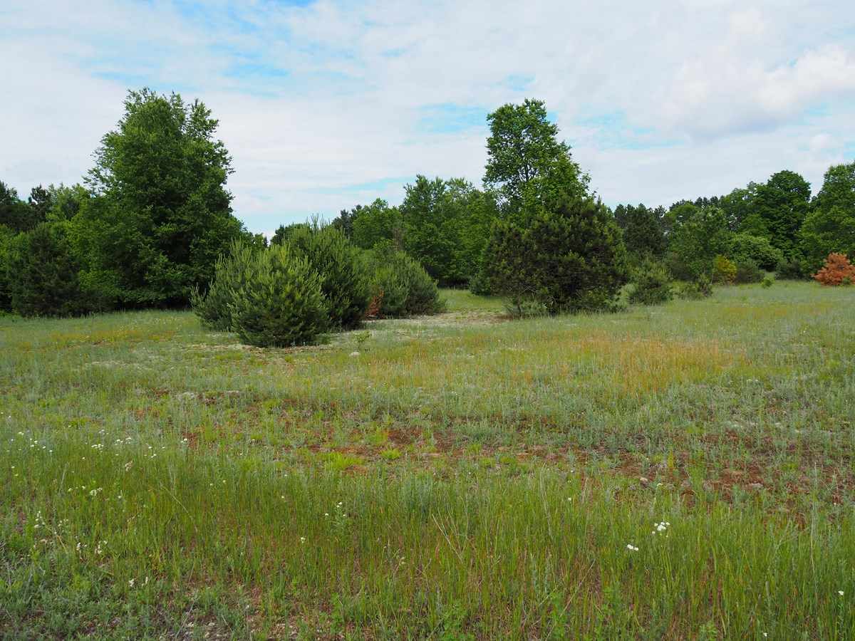 669 Rd Thompsonville Mi 49683 Road Beulah, MI 49617 - Photo 11 of 17