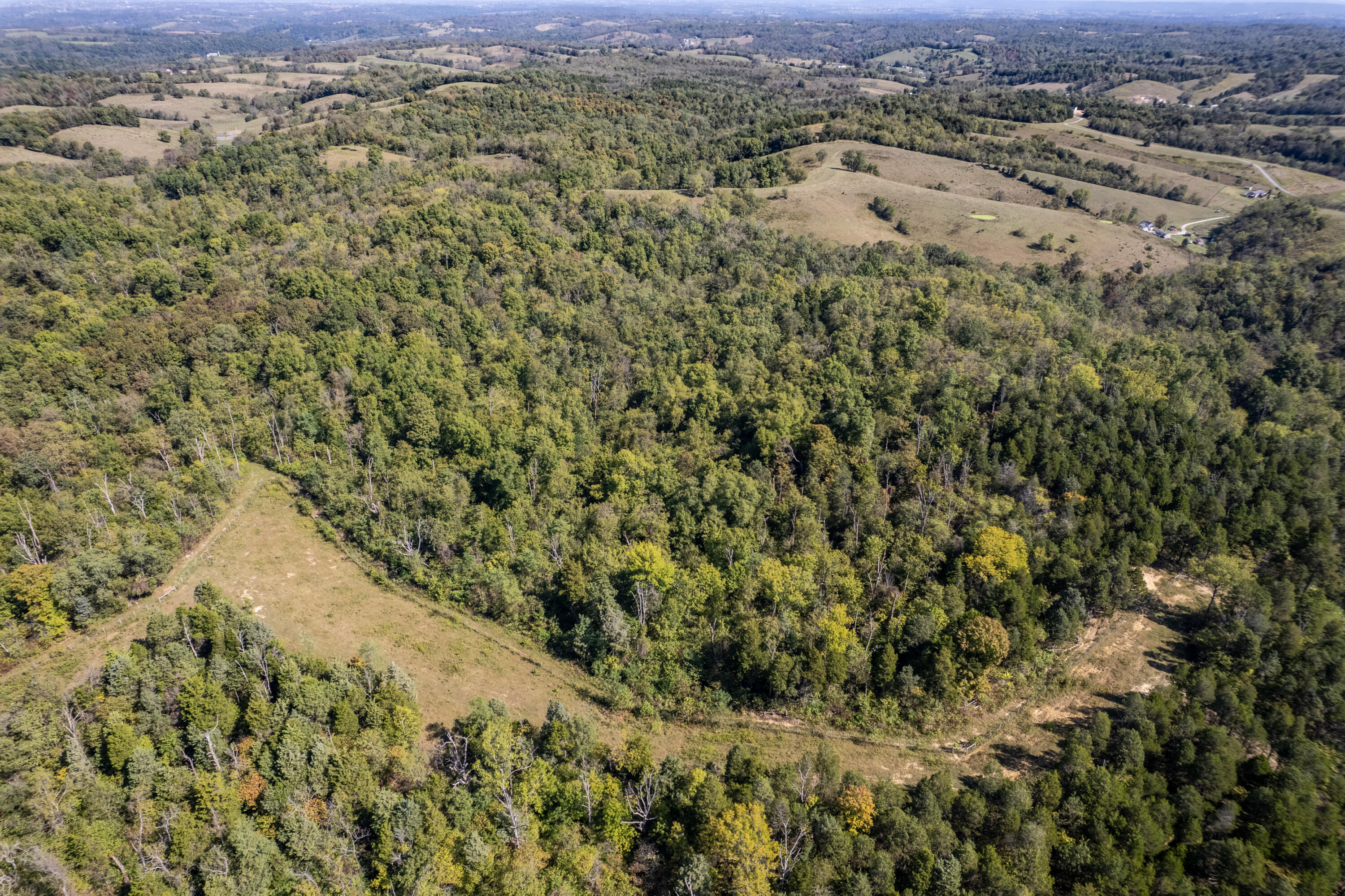 0 Magnolia Road Owingsville, KY 40360 - Photo 7 of 25 DJI_0268-HDR