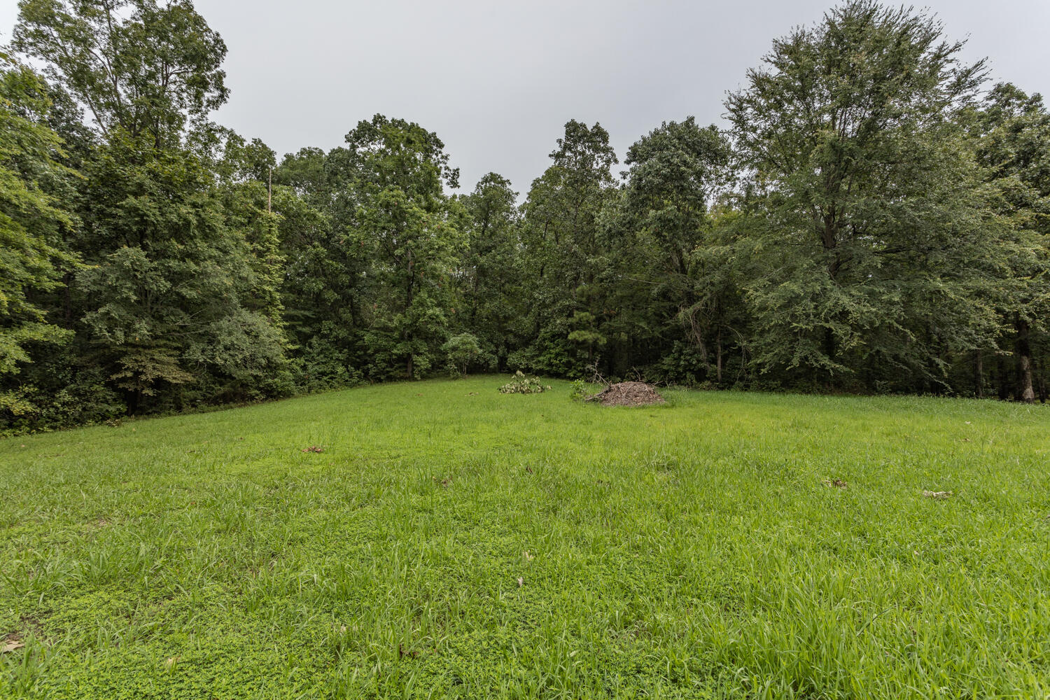 974 Leonard Bridge Road Chatsworth, GA 30705 - Photo 34 of 48 974 Leonard Bridge HD-3