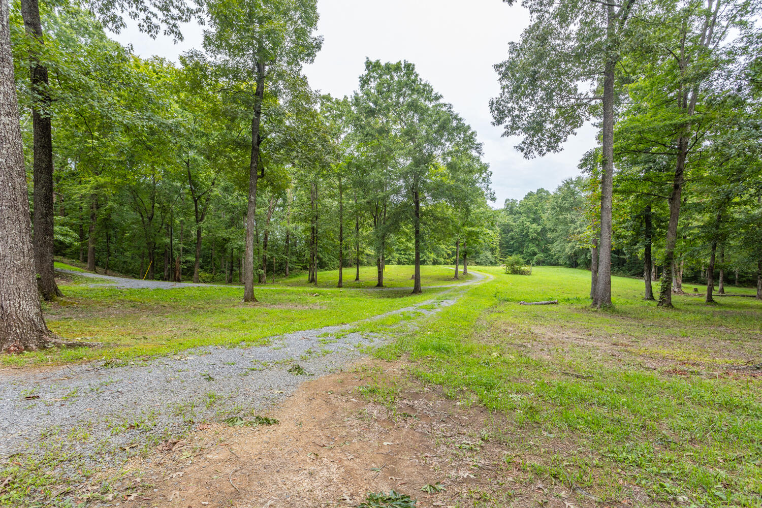 974 Leonard Bridge Road Chatsworth, GA 30705 - Photo 39 of 48 974 Leonard Bridge HD-8