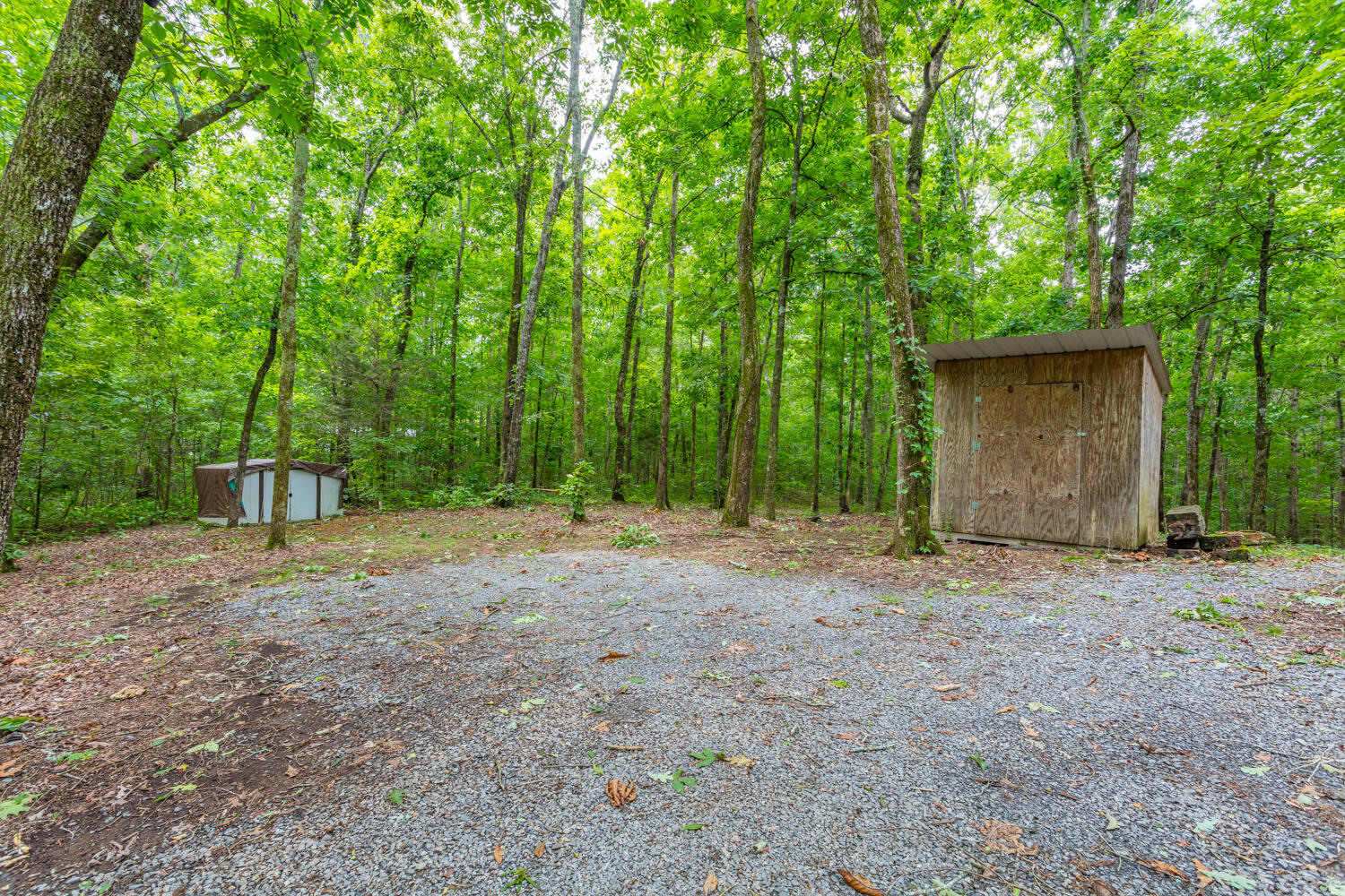974 Leonard Bridge Road Chatsworth, GA 30705 - Photo 42 of 48 974 Leonard Bridge HD-11