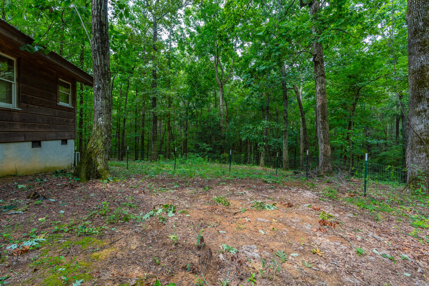 974 Leonard Bridge Road Chatsworth, GA 30705 - Photo 46 of 48 974 Leonard Bridge HD-17