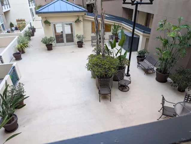 a view of a palm plant in front of a building