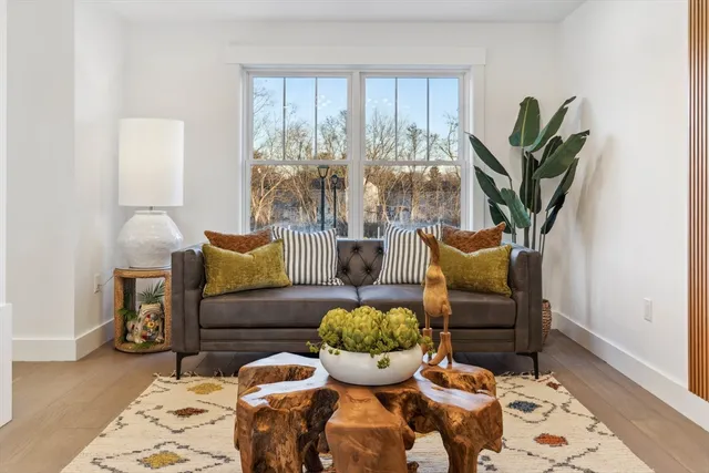 a living room with furniture and a potted plant