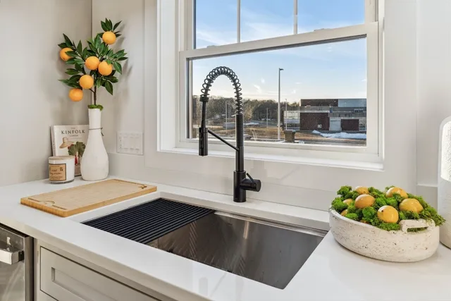 a kitchen with a sink and a potted plant