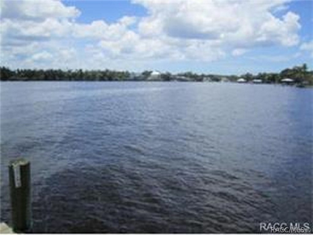 1598 West Spring Meadow Loop Lecanto, FL 34461 - Photo 70 of 74 Open Homosassa River w/Direct Gulf Access